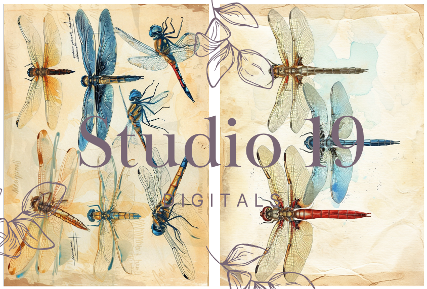 Dragonflies colourful ephemera papers (20 pages) DIGITAL FILE