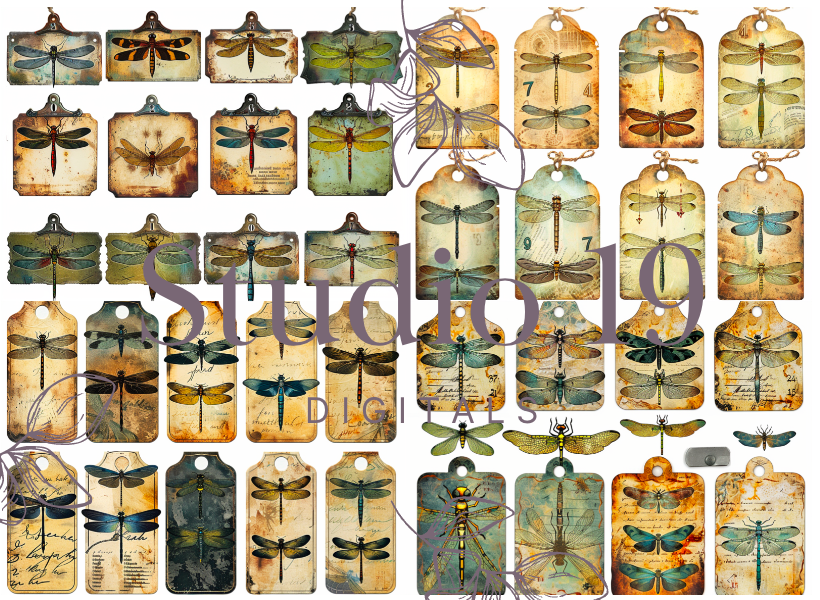 Dragonflies colourful ephemera papers (20 pages) DIGITAL FILE