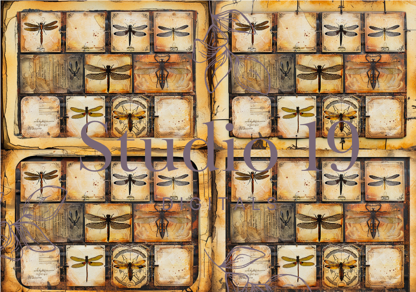 Dragonflies colourful ephemera papers (20 pages) DIGITAL FILE
