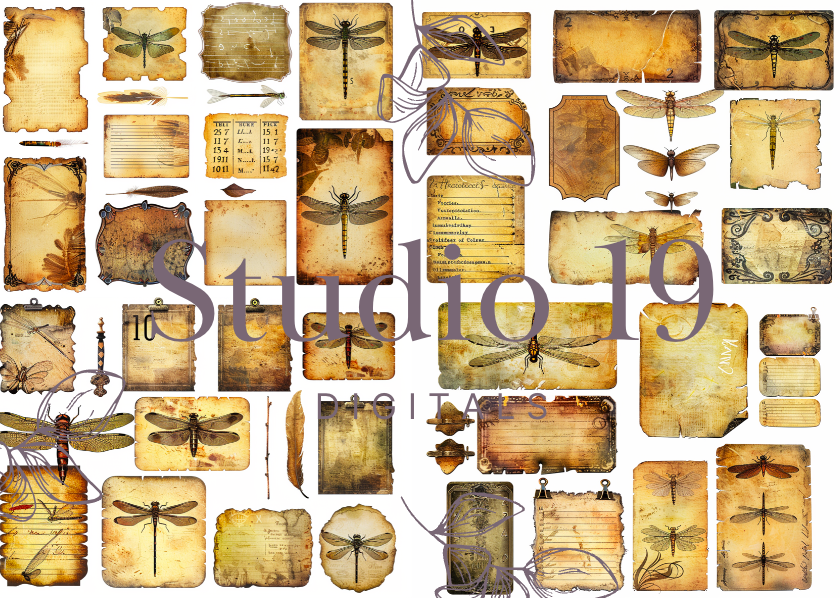 Dragonflies colourful ephemera papers (20 pages) DIGITAL FILE