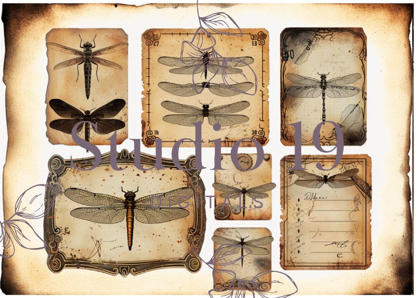 Dragonflies colourful ephemera papers (20 pages) DIGITAL FILE