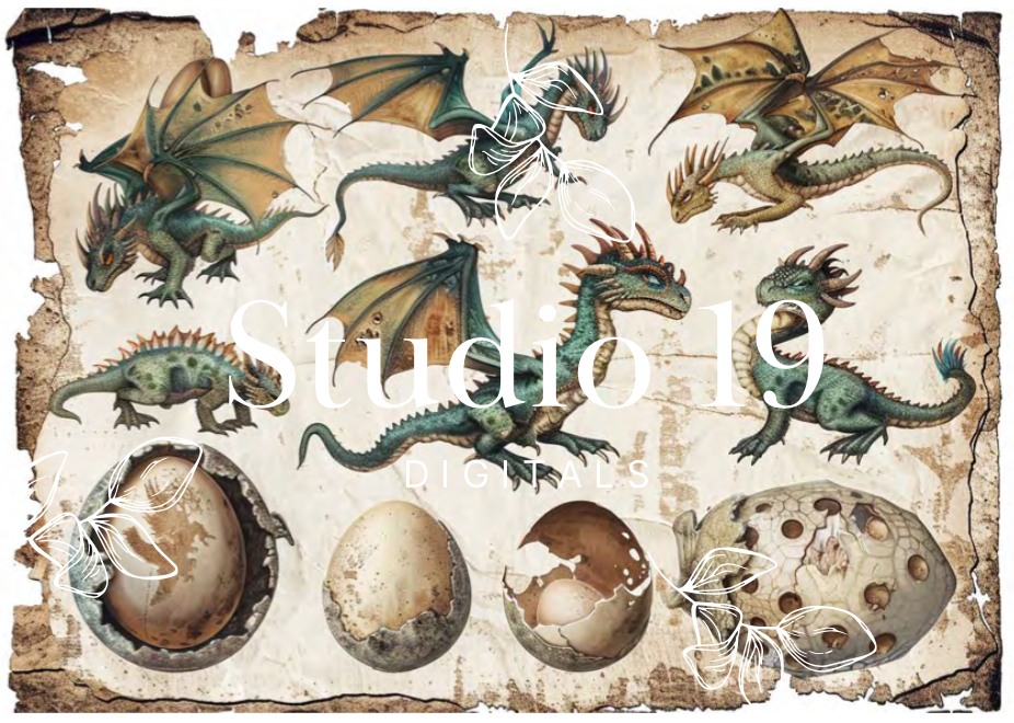 Dragon ephemera papers (18 pages) DIGITAL FILE