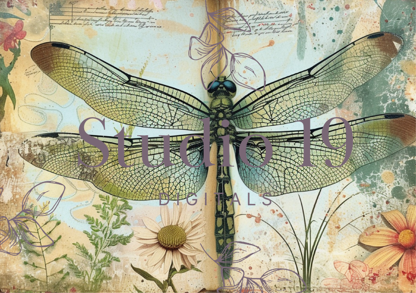 Dragonflies colourful scrapbook papers (25 pages) DIGITAL FILE